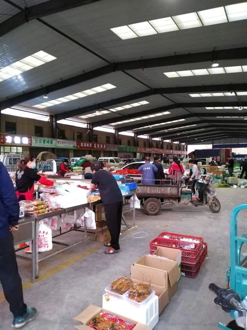 中貿農產品綜合批發市場 從基地到市場，蔬菜區一站式采購與每日參考價解析